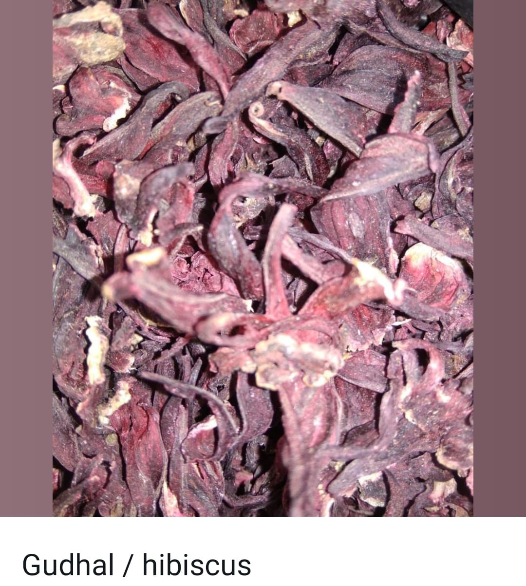 Hibiscus